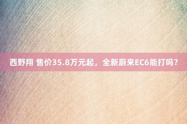 西野翔 售价35.8万元起，全新蔚来EC6能打吗？